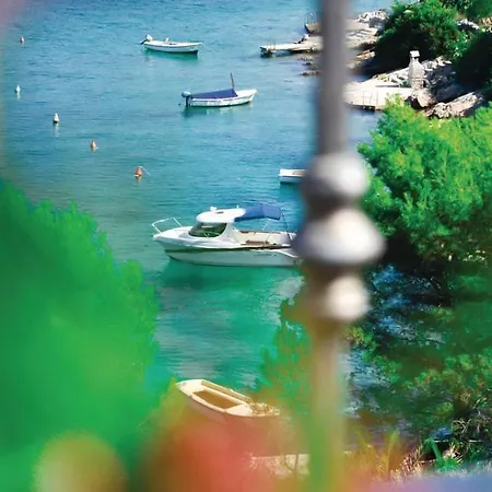 Vera * ドルヴェニク・ヴェリキ