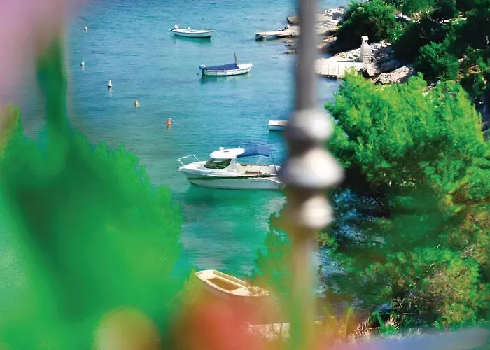 Vera * Veliki Drvenik